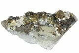Pyrite, Sphalerite & Quartz Crystal Association - Peru #138157-1